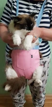 Pet-Carrier Backpack Pad-Bags Pet-Products Travel Adjustable Outdoor for Cat-Supplies