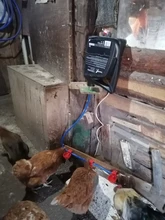Dispensador de agua potable para aves de corral, 2m, pollo, codorniz, pájaro, bebedero de aves de corral, tubo suave de 9,5mm