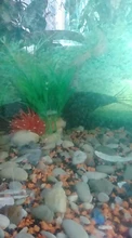 15CM/10CM Underwater Artificial Aquatic Plant Ornaments For Aquarium Fish Tank Green