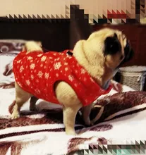 Puppy Vest Coat Clothing Jacket Dogs Chihuahua Waterproof Large Winter Medium Pet-Dog