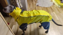 Mono impermeable para perro mascota, ropa impermeable para exteriores, mono con capucha para perros pequeños y grandes, capa impermeable, Bulldog francés