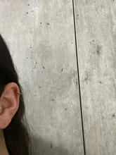 CANNER-pendientes de aro de Plata de Ley 925 auténtica para mujer, aretes redondos de circonia cúbica, joyería de boda, 1 Juego, 100%