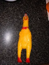 Interactive Rubber Chew Toys For Dogs Cats Pet Squeaky Tooth Cleaning Toys Dog Cat Colorful