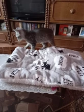 Cama de perro alfombrilla de lana suave para invierno, manta para cachorro, gato, colchón para perro, cama cálida, cojín para dormir, perrera para perros pequeños, medianos y grandes