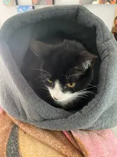 Dog-Bed House Nest Dog-Cushion Cat-Sleeping-Bag Soft Warm for High-Quality 10c15 Pet-Dog