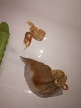 13x4 4x4 2x6 Frontal de encaje de cabello humano 100% humanos Remy Peruvian pelo cabello Natural Libre/Medio/tres malla con división de cierre