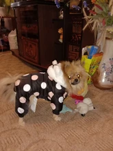 Dog Overalls Clothing Puppy Winter Coat Hoodie Pet-Dog Cotton Thicken Dot for Small Big-Polka-Dot