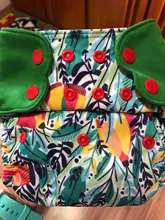 2020,11 nueva llegada con bolsillo para bebé pañal de paño Reusable mariposa pestañas de alta calidad 3-15kg