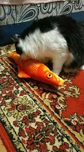 Pet Soft Plush Creative 3D Carp Fish Shape Cat Toy Gifts Catnip Fish Stuffed Pillow Doll