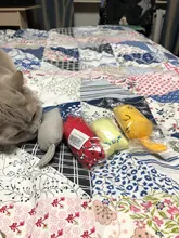 Cat-Toy Claws Pet-Supplies Plush-Toys Interactive-Tools Mint-Scratcher Catnip Teeth-Grinding