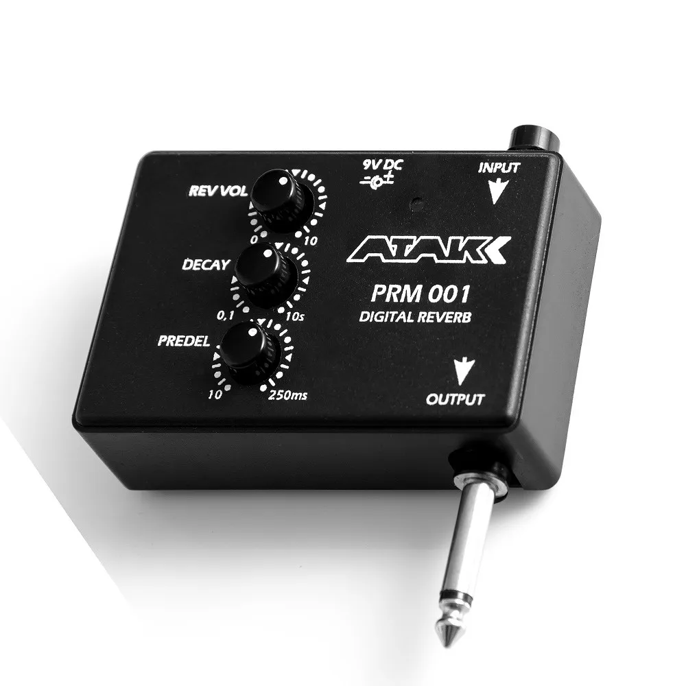 Untitled12321321-1000