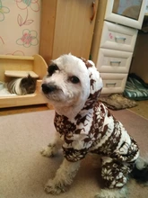 (Rusia aire Express puede pista) suave lana cálida ropa de perro traje de Yorkshire Chihuahua pequeño abrigo para perros