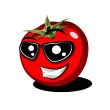 V***v