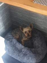 Camas redondas para gatos, casa de felpa suave y larga, La mejor cama de perro para canasta para perros, productos para mascotas, cojín, cama para gato, esterilla para animales, sofá para dormir
