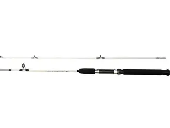 

Dolphin Rock Delphinus 150cm 100 - 250gr Boat Pole