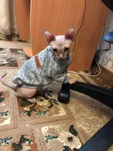 Suéteres de Gato caliente, ropa clásica de moda, ropa para perro y gato para gatos pequeños, traje de Chihuahua, abrigo de disfraz de gato de invierno