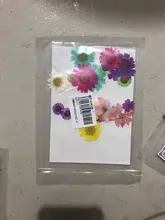 Hojas de resina de flores secas para decoración del hogar, Molde de resina UV Expoxy para arte de uñas, flores prensadas para artesanía para decoración del hogar