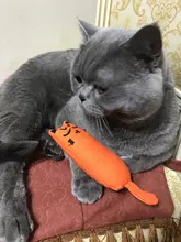 Cat-Toy Claws Pet-Supplies Plush-Toys Interactive-Tools Mint-Scratcher Catnip Teeth-Grinding