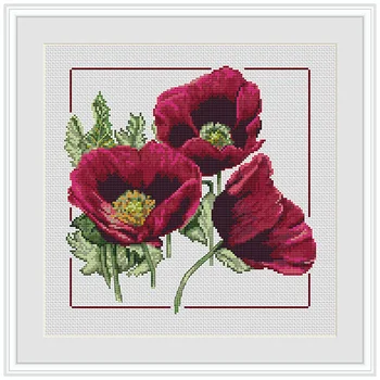 

"Embroidery kit", "floss embroidery kit", "cross stitch", "counted cross", "Expressions", "counted cross stitching"