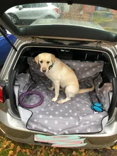 Cover-Protector Trunk-Mat Pet-Carriers Car-Seat-Cover Transportin Dog Cats Autostoel