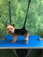 Pet-Traction-Belt Pet-Supplies Dog-Harness Grooming Belly-Strap D-Rings Bathing-Band