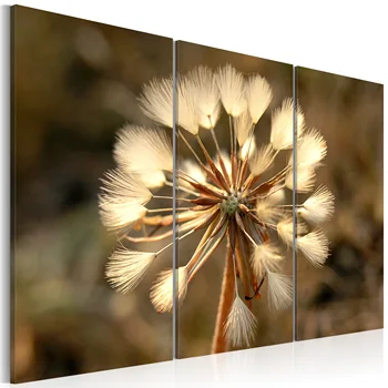 

Table-focus-dandelion 120x80