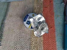 Collar antipulgas y antigarrapatas para perros y gatos, repelente de plagas, mosquitos e insectos para caninos y felinos con duración de hasta 8 meses, 2019