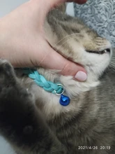 Collar de cuero trenzado para perro, cachorro, gato, con etiqueta de nombre personalizada grabada para perros pequeños y medianos, campana gratis