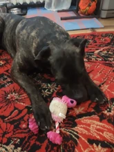 Perro de juguete duradera lindo papá pato haciendo sonido perro de peluche juguetes masticables para cachorros formación juguetes para la dentición para pequeños perros mediano