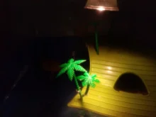 Rest-Bulb Heat-Lamp Reptile-Tortoise Tortuga Basking UVA Uvb-3.0 Temperature-Controller