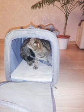 Dog-Carrier-Bag Travel-Bags Dog-Backpack Transport Soft-Side Airline-Approved Cats Small