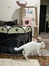 Tienda portátil porta mascotas plegable, Corralito, transpirable, de fácil operación, cerca octagonal, cama perrera extraíble para cachorro para gatos