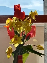 XCAN-Juego de brocas de grabado, Nano Blue Coated brocas de rebajadora de CNC, cortador de fresado de corte, vástago de 1/8 , herramientas de fresado de carburo