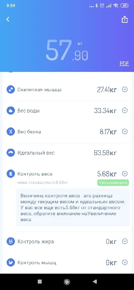 весы gason s4