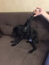 No-¡perro arnés reflectante ajustable de franela acolchada pequeño, mediano y grande arnés tipo chaleco para perro fácil para caminar de formación