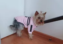 French Bulldog Small Dogs Pugs Winter For Chihuahua Outfit Pink Warm Clothing Roupa Pet-38s2