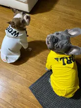 Dog Hoodies Jacket Costume Coat French Bulldog Chihuahua Winter for Pets-Clothing