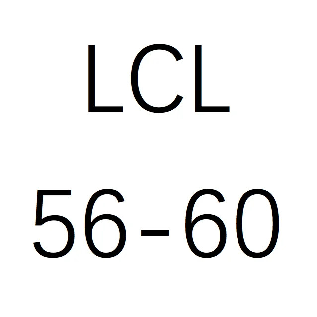 LCL(партия груза меньшей, чем грузовместимость вагона окружности головы 56-60