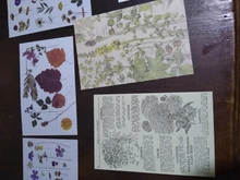 30 unids/set Vintage Scrapbooking Diy Paquete de pegatinas Retro decorativa Natural colección diario Washi etiqueta engomada de papel de arte