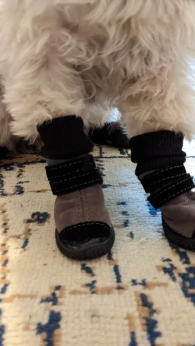 Anti-slip Velvet Boots On The Snow For Dog photo review