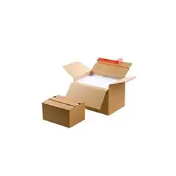

Pack. 10 boxes erecting 23.8x17x6-13 cm CP141.101COLOMPAC10.73