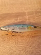 D1 asturie topwater pencil lures stickbaits floating fishing lure 110mm 16.5g long casting