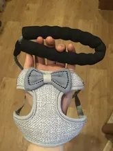 Breakaway Cat Collar Cute Bow Vests Cat Harness and Leash Cat Product Cat Accessories