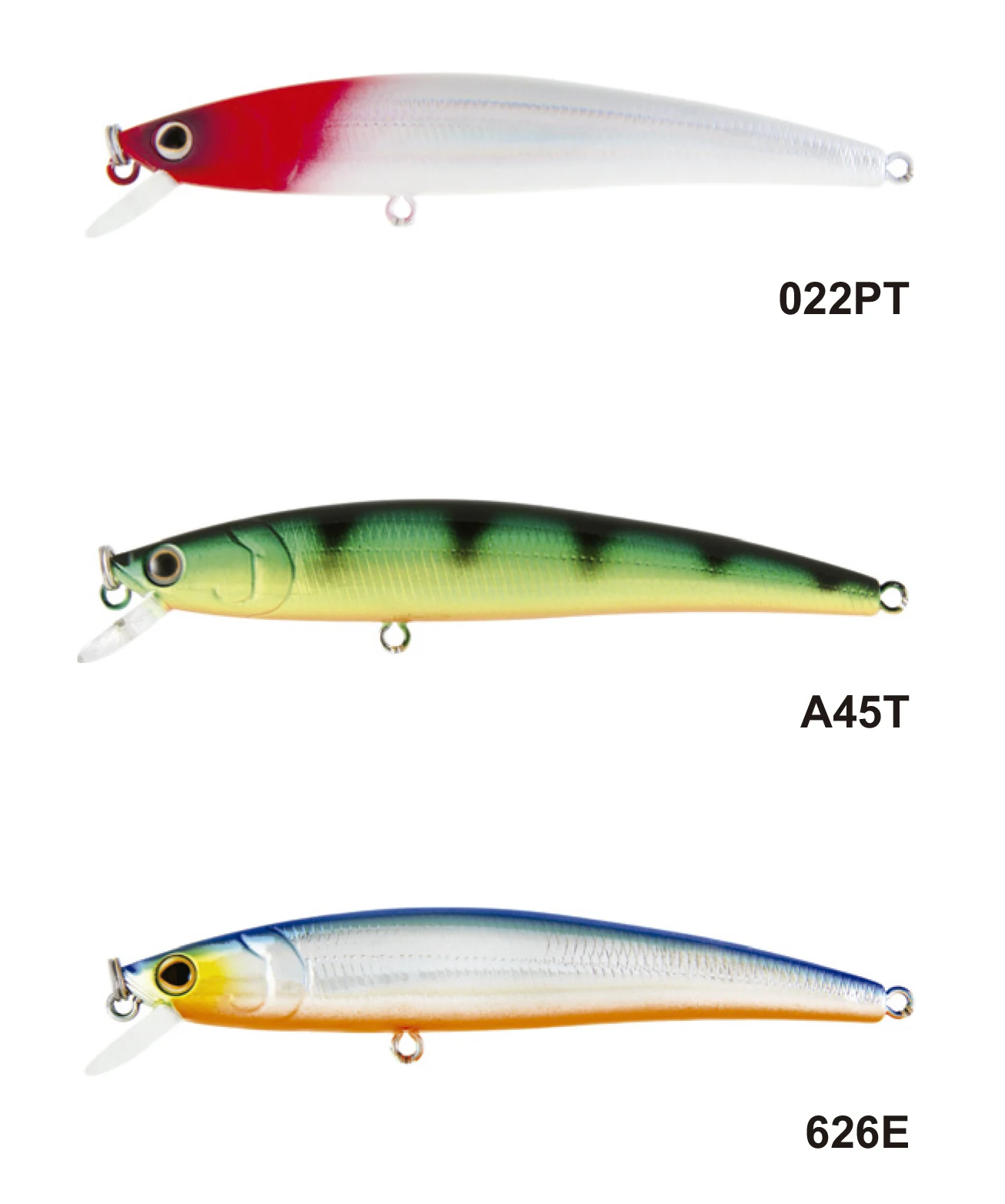 Arc minnow. Arc minnow