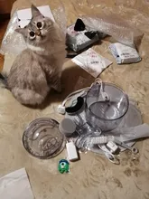 Cat-Water-Fountain Faucet Drinker Pet-Sensor TRANSPARENT-FILTER Dog-Water-Dispenser Downypaws