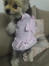 Dress Pet-Clothing Puppy-Cat-Dresses Chihuahua Princess Yorkshire Dogs Small Medium 