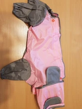 Mono impermeable para perro mascota, ropa impermeable para exteriores, mono con capucha para perros pequeños y grandes, capa impermeable, Bulldog francés