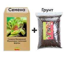 Семена Венериной Мухоловки и грунт Семена Венериной Мухоловки и грунт
