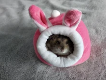 Kitten Bed Nest Hamster Cozy-Mat-House Sleeping-House Small Animals Warm Kennel Plush