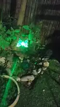 Outdoor Garden Stake-Lights Lawn Solar Butterfly/bird-Lawn-Lamps Multicolor Led